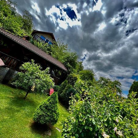 Cabana Vânătorilor Poiana Mărului Exterior foto
