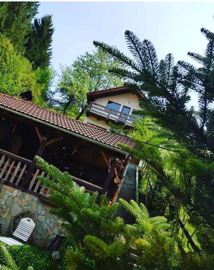 Cabana Vânătorilor Poiana Mărului Exterior foto