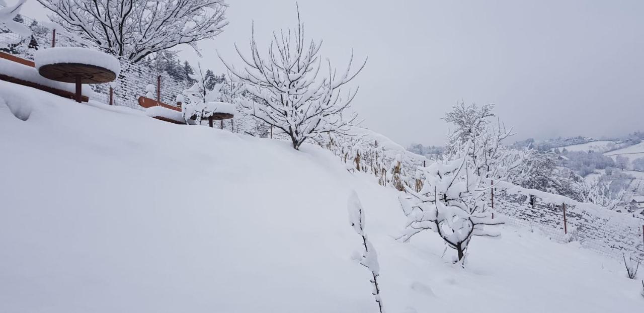 Cabana Vânătorilor Poiana Mărului Exterior foto