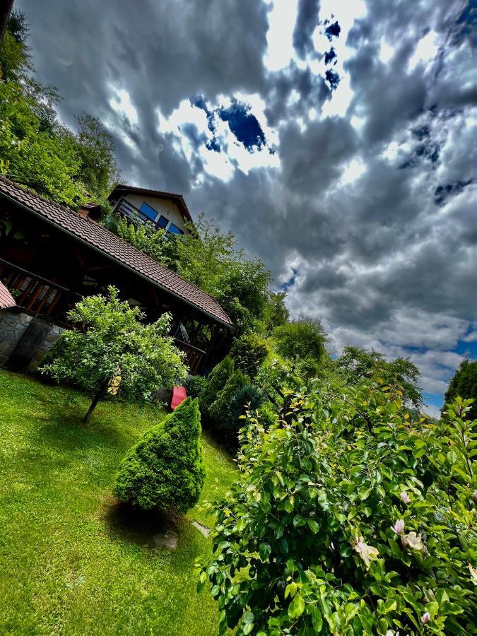 Cabana Vânătorilor Poiana Mărului Exterior foto