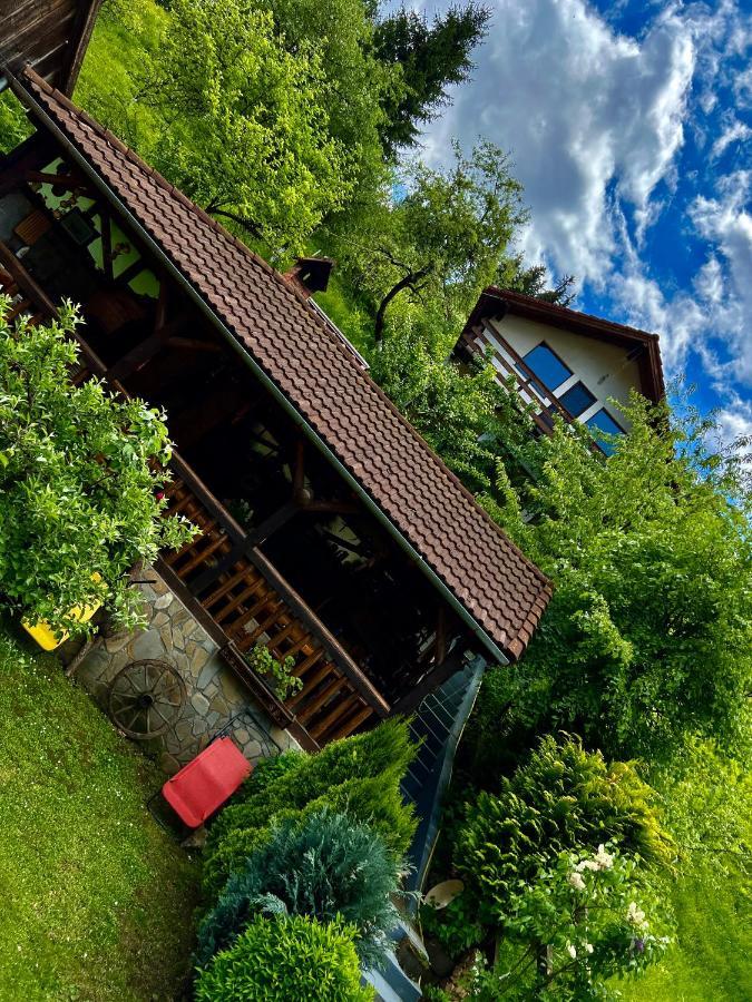 Cabana Vânătorilor Poiana Mărului Exterior foto
